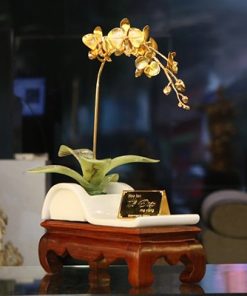 Hoa Phong Lan Ma Vang Canh Vang La Ngoc Mhk 0014 03