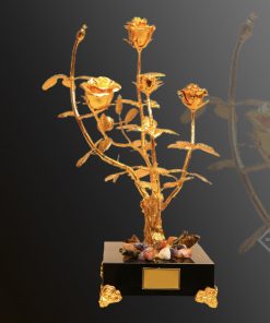 21